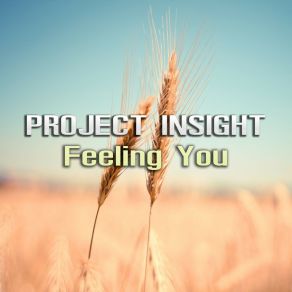 Download track Feeling You (Radio Edit) Project Insight