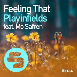 Download track Feeling That Mo Safren