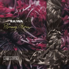 Download track Blooming Gloria Raiwa