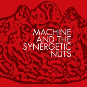 Download track Swang The Machine, The Synergetic Nuts