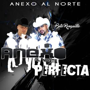 Download track Perfecta (Beto Ronquillo) Anexo Al Norte