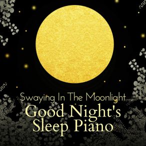 Download track Sleeper Symphony Saki Ozawa