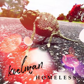 Download track Homeless Koelman