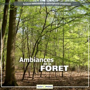 Download track Foret De Juillet Fernand Deroussen