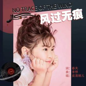 Download track 和风生月华 皮清婉儿