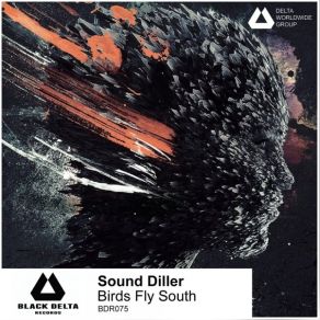 Download track Birds Fly South Sound Diller