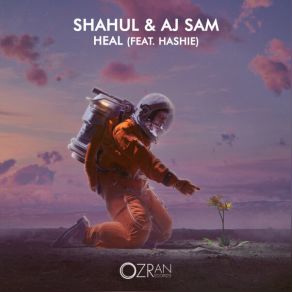 Download track Heal (Radio Edit) ShahulHashie