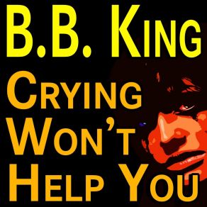 Download track I've Got A Right To Love My Baby B. B. King