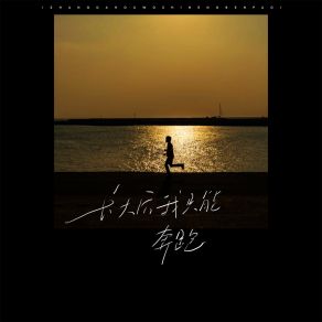 Download track 长大后我只能奔跑 王佳音Sgr