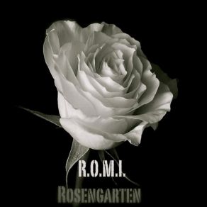 Download track ICH BIN R. O. M. I.