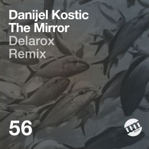 Download track The Mirror (Original Mix) Danijel Kostic