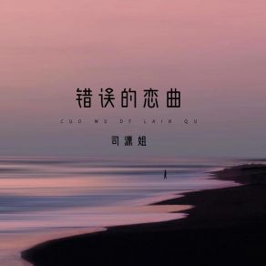 Download track 错误的恋曲 司源姐