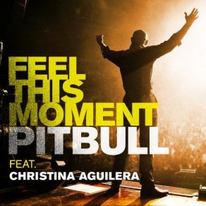 Download track Feel This Moment (Dj Riddler Radio Mix) Christina Aguilera, Pitbull