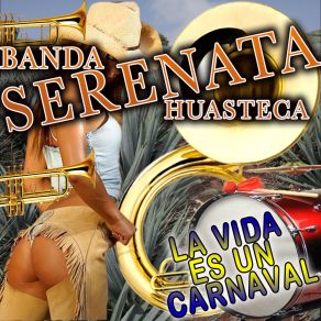 Download track La Vida Es Un Carnaval Banda Serenata Huasteca