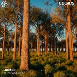 Download track In The Wood Luciano, Alpha Rhythm