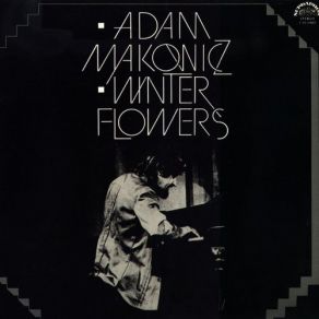 Download track My Scandinavian Dance Adam Makowicz