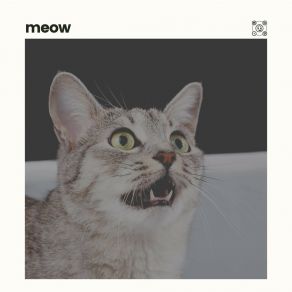 Download track Massively Ambient Cat Music