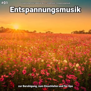 Download track Entspannungsmusik Pt. 49 Entspannungsmusik