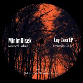 Download track Ley Caza (Lee Gabrieel Remix) Emerson CollinLee Gabrieel