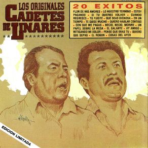 Download track Cuando Regreses Los Originales Cadetes De Linares
