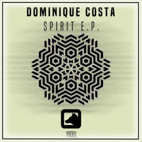 Download track Shape (Original Mix) Dominique Costa