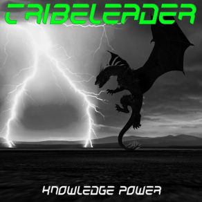 Download track KNOWLEDGE POWER (Instrumental Cloudbounce 2) Tribeleader