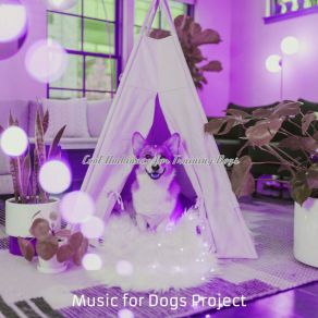 Download track Divine Moods For Training Dogs Music For Dogs Project