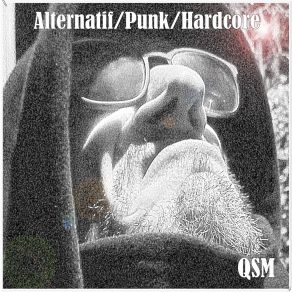 Download track Allégeance QSM