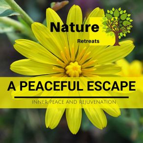 Download track The Beauty Of Nature Massage Music