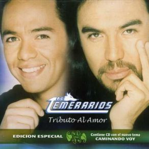 Download track Camínando Voy Los Temerarios