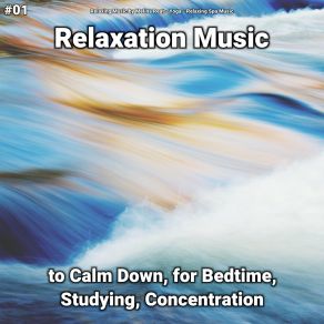 Download track Relaxation Music, Pt. 13 Relaxing Spa Music