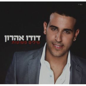 Download track At Lo Levad Dudu Aharon