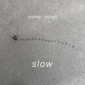 Download track Butterfly Dream Ottmar Liebert