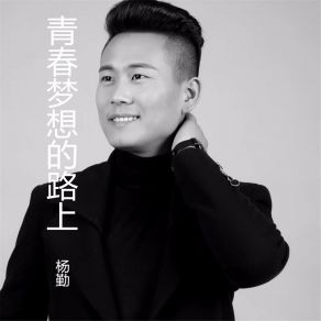 Download track 青春梦想的路上 杨勤