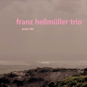 Download track Disgo Franz Hellmuller Trio