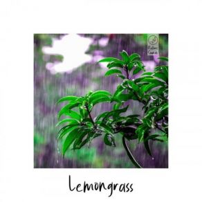 Download track Your Cozy Home Lemongrass