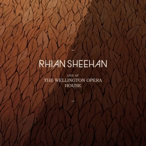 Download track Standing In Silence Pt. 10 (Live) Rhian Sheehan