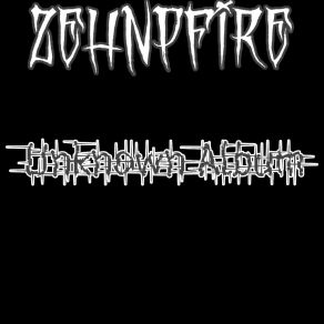 Download track Second Track Zehnpfire