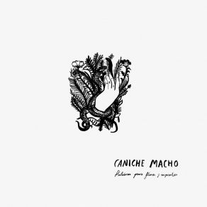 Download track Bengalas Caniche Macho