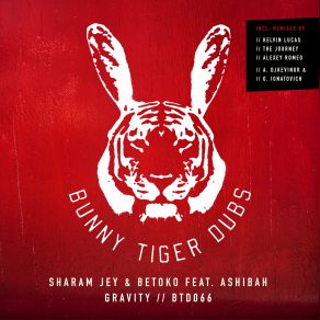 Download track Gravity (The Journey Remix) Sharam Jey, Betoko, Ashibah