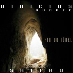 Download track Fim Do Túnel Vinicius Duarte