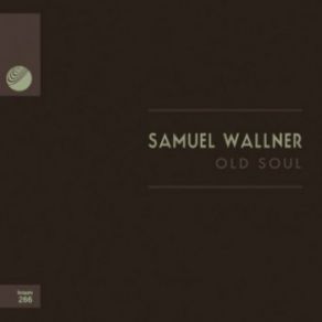 Download track Who Is Who Again (Original Mix) Samuel Wallner