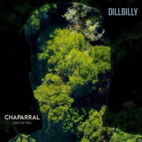 Download track Stellar Jay Dillbilly