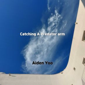 Download track Body Project Airport Aiden Yoo