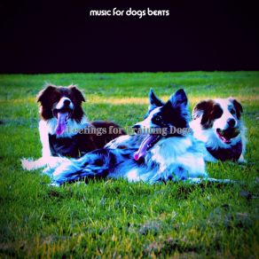 Download track Wondrous Jazz Guitar Trio - Vibe For Lonely Dogs Music For Dogs Beats