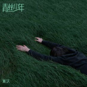 Download track 青丝少年 (DJ梦迪版) 薄云天