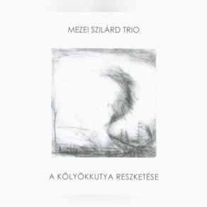 Download track Patak (Runnel) Szilard Mezei Trio