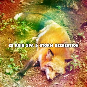 Download track The Perfect Thundering Relaxing Rain Sounds