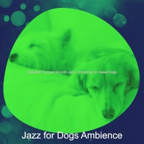 Download track Casual Ambiance For Walking Dogs Jazz For Dogs Ambience