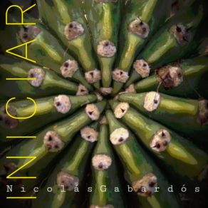 Download track Cactus (Cover) Nicolás Gabardós